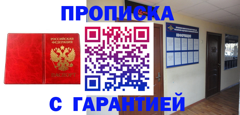 прописка для школы в Новгородской области